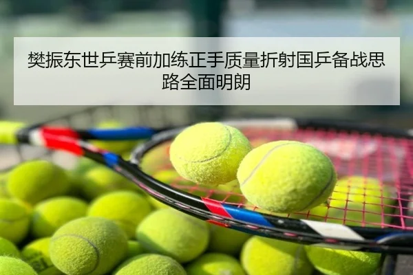 樊振东世乒赛前加练正手质量折射国乒备战思路全面明朗